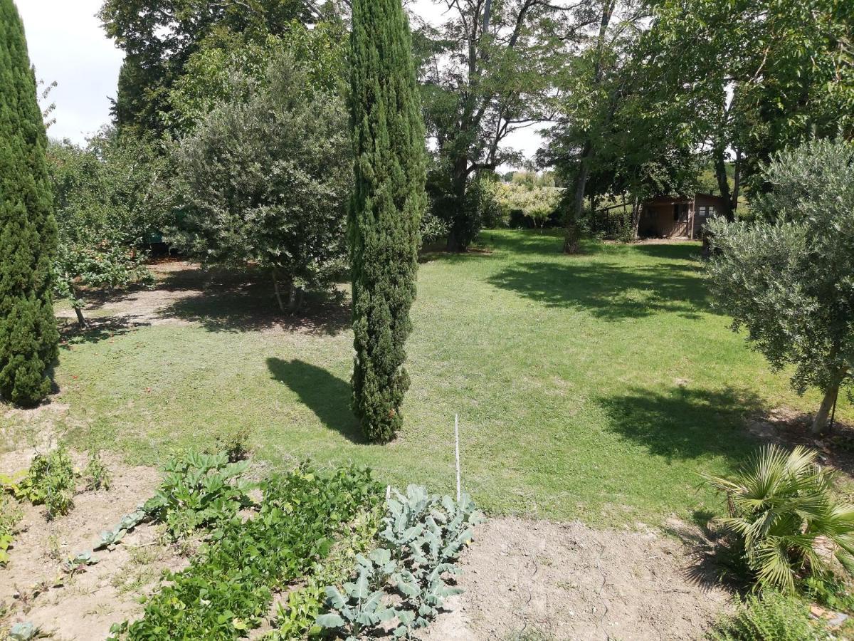 O Nature Cheris Mes Voeux Avant Qu'Ils S'Enfuient Francescas Exterior photo